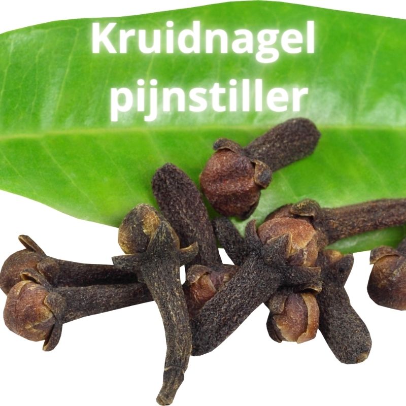 De Wonderen van Kruidnagel: Gezondheidsvoordelen en Toepassingen