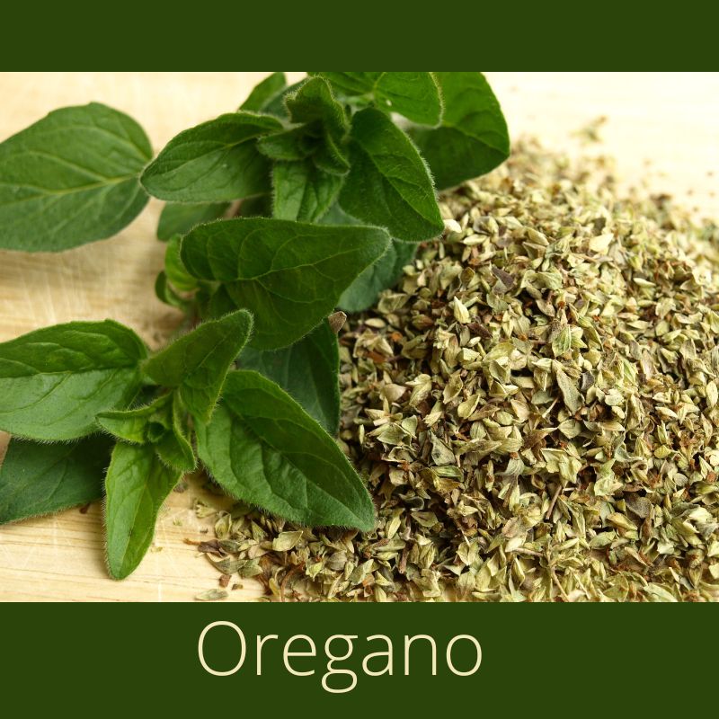 Oregano Kruiden Eyka